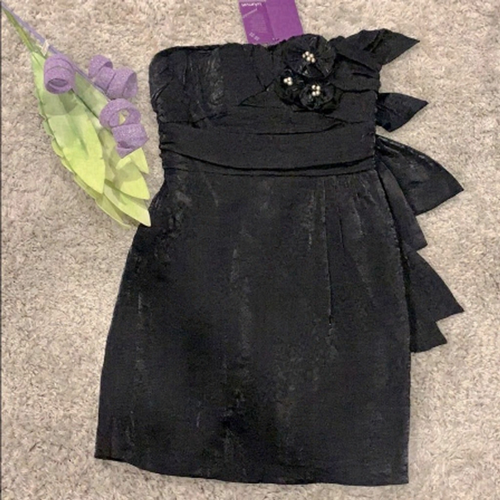 NWT Lulumari Organza tube dress